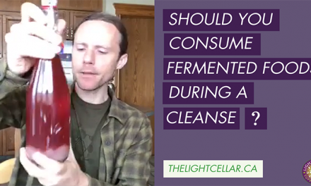 Should You Consume Fermented Foods During A Cleanse ?