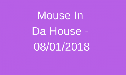 Protected: Mouse In Da House – 08.01.2018