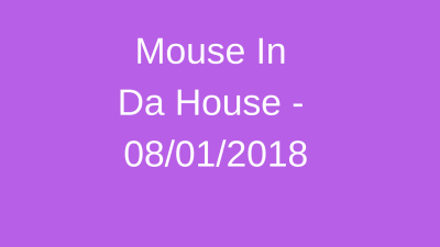 Protected: Mouse In Da House