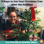 5 Healthy and Eco-friendly Ways to Use Your Christmas Tree after the Holidays.