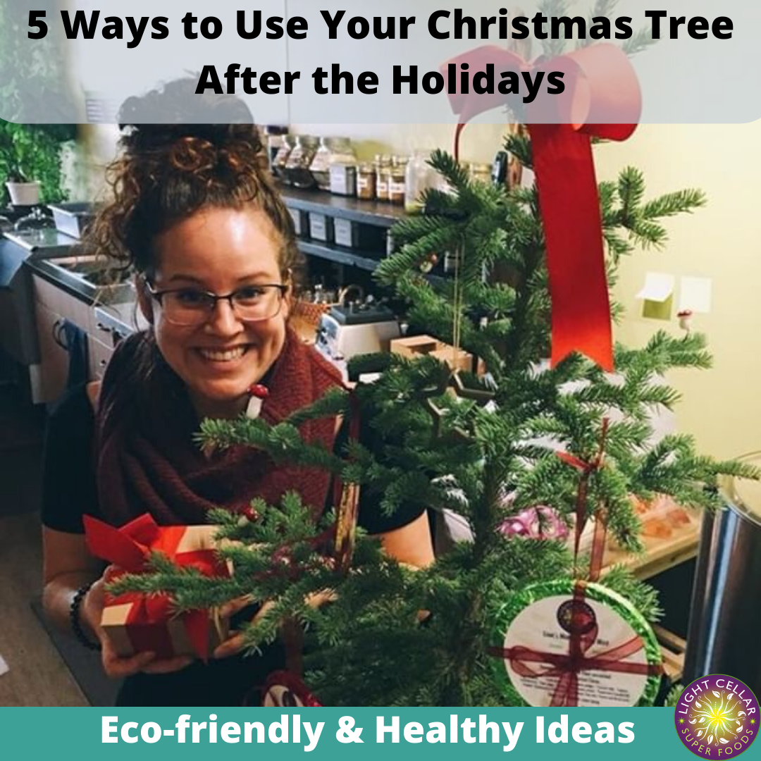 5 Healthy and Eco-friendly Ways to Use Your Christmas Tree after the ...