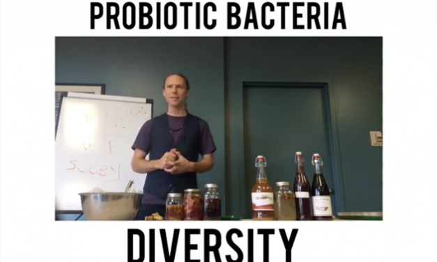 the Wonders & Diversity of Probiotic Bacteria
