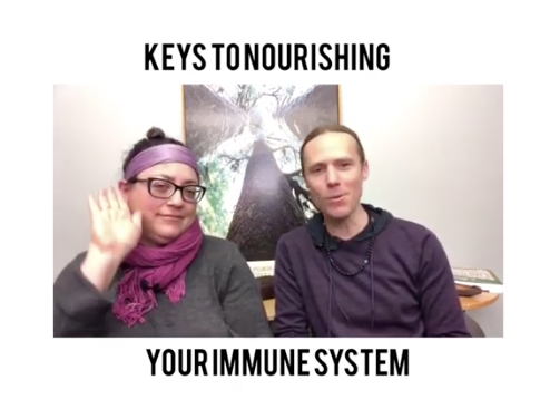 Why Nourishing Your Immune System is the Key and How to Do That…